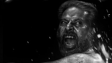 Bramayugam Box Office Collection Day 4: Mammootty’s Horror Film Earns Rs 11.85 Crore In Kerala - Reports