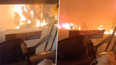 Chile Wildfire: At Least 10 Killed As Wildfires Torch Forests, Destroy Over 1,000 Homes in Central Chile (Watch Video)
