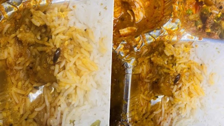 Cockroach Found in Meal on Train: Passenger Finds Dead Insect in Food Served on Vande Bharat Express, IRCTC Issues Apology (See Pics)