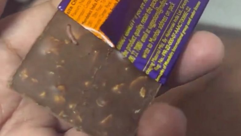 Worm in Cadbury Dairy Milk Chocolate: Telangana Food Laboratory Confirms Presence of White Worms and Web in Chocolate, Marks It 'Unsafe To Consume'