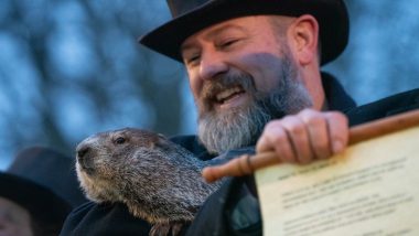 Groundhog Day 2024 Predictions by Punxsutawney Phil: Know Date, History and Significance Related to The US Observance (Watch Video)