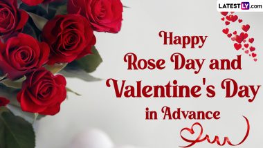 Rose Day Shayari 2024 For Partner: Share Happy Rose Day Images in Hindi, WhatsApp Messages, Romantic Quotes and Greetings on February 7