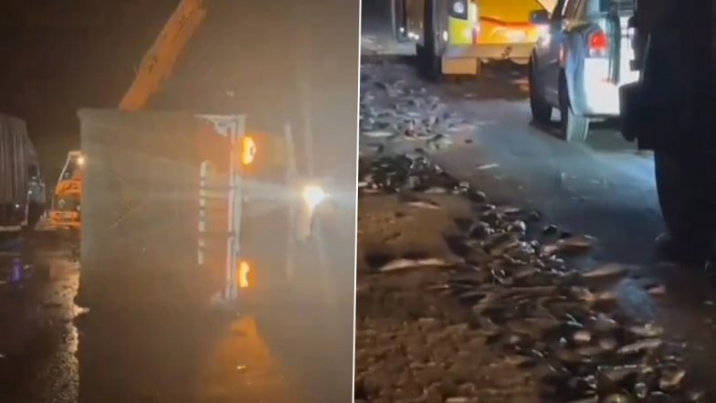 Telangana: Tonnes of Live Fish Crushed as Lorry Topples on National Highway in Wanaparthy, Videos Surface