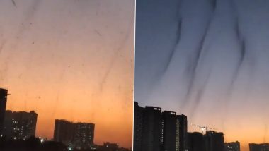 Mosquito Tornado in Pune: Swarm of Mosquitoes Form ‘Tornado’ in Skies of Pune Due to the Rise in Water Levels of Mula Mutha River (Watch Videos)