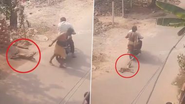 Animal Cruelty Caught on Camera in Agra: Man Ties Dog’s Legs With Rope, Sits on Bike and Drags It on Concrete Road in UP; Two Arrested After Shocking Video Goes Viral