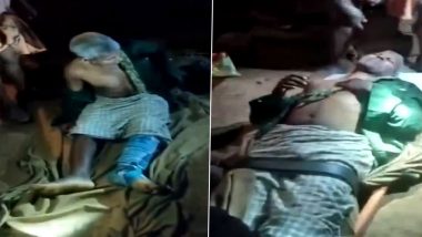 Elephant Attack in Kannur: Maoists Escape After Wild Tusker Attacks Them in Kerala, Local Man Suffers Injuries (Watch Video)