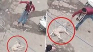 Animal Cruelty in Delhi: Man Ties Wire Around Dog&rsquo;s Neck, Throws It Inhumanely in Mukherjee Nagar; Shocking Video Surfaces