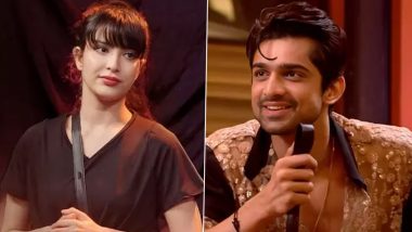 Bigg Boss 17's KhanZaadi Unfollows Abhishek Kumar on Instagram; Is It End of AbhiZaadi's Friendship?