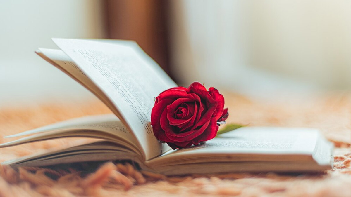 Valentine's Day 2024: Romantic books on