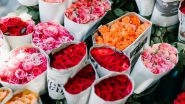 Rose Colours for Rose Day 2024: Red, Pink or Yellow &ndash; Know Meaning Associated With Different Colors of Roses To Pick the Right One This Valentine's Week