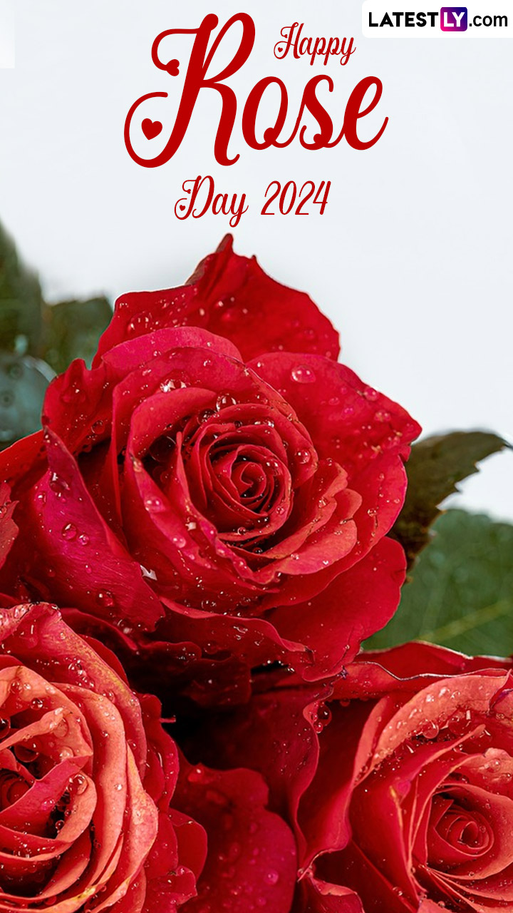 Happy Rose Day 2024 Wishes, Greetings, Images and Quotes for Your