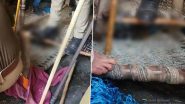 Uttar Pradesh: Leopard Allegedly Dies After Cops Stand on Cot To Neutralise Big Cat Caught in Net in Sambhal; Video Surfaces