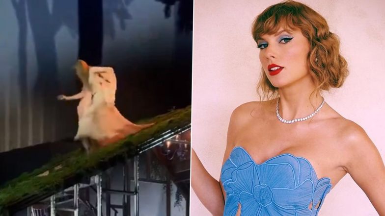 Taylor Swift Trips and Nearly Falls Onstage During Eras Tour Concert in Tokyo (Watch Viral Video)