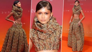 Zendaya Stuns in Chic Gold Crop Top and Skirt for Dune 2 Paris Premiere (View Pics and Videos)