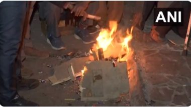 Delhi Weather Update: Cold Weather Grips National Capital, People Huddle Around Bonfires To Keep Themselves Warm (Watch Video)
