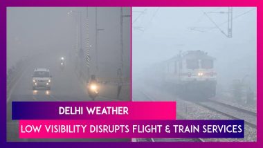 Delhi Weather: Fog Covers National Capital, Low Visibility Disrupts Flight And Train Services