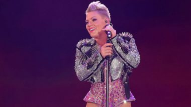 Pink Pauses Her Sydney Show After Pregnant Concertgoer Goes Into Labour; Singer Writes 'Helped Bring a Baby Into the World' on Insta