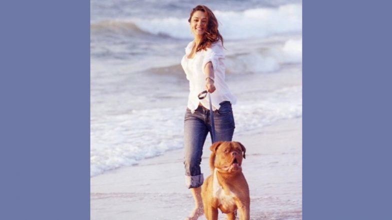 Preity Zinta Shares Cherished Memory With Salman Khan’s Pet Myjaan on Insta (View Pic)
