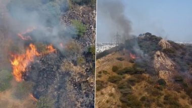 Tamil Nadu: Forest Fire Breaks Out at Madakkulam Sri Kabaleeswari Amman Temple Hill in Madurai, Video Surfaces