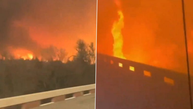 US Wildfire Videos: Smokehouse Creek Fire Becomes Texas's Largest-Ever Wildfire, Emergency Responders Struggle