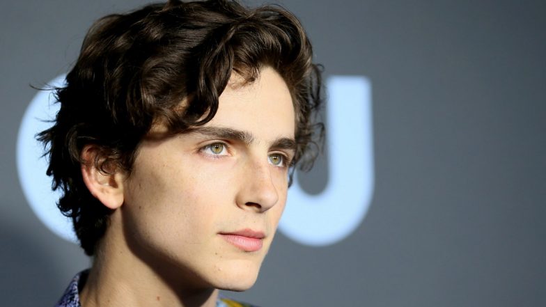 Timothee Chalamet Inks New Deal with Warner Bros to Lead and Produce New Movies Following Success of Wonka and Dune - Reports