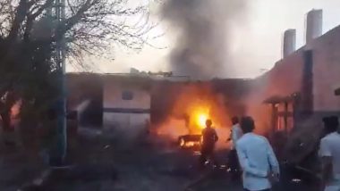 Jaipur Fire: Six Killed, Two Injured After Blaze Erupts at Chemical Factory in Bassi Area (Watch Videos)