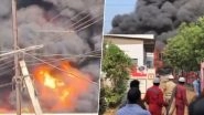 Andhra Pradesh: Massive Fire Engulfs Oil Tanker Godown in Vijayawada, No Casualties Reported (Watch Video)