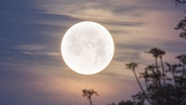 Full Moon of March 2024 Photos & Video: Worm Moon Lights Up The Sky, Netizens Share Stunning Images of Beautiful Celestial Event on X
