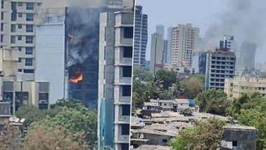 Mumbai Fire Videos: Massive Blaze Engulfs Garment Shop in Dindoshi, Eight Fire Tenders Rushed to the Scene