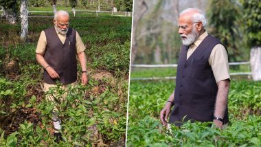 PM Narendra Modi Explores Tea Estates During His Visit to Assam, Urges Tourists To Visit ‘Splendid Tea Gardens’ (See Pics)