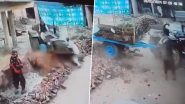Saharanpur Shocker: Man Runs Tractor Over Brother on Land Dispute in Uttar Pradesh, Terrifying Video Surfaces