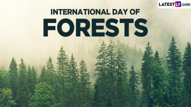 International Day of Forests 2024 Date, Theme, History and Significance: Know About the Global Celebration That Raises Awareness of the Importance of All Types of Forests