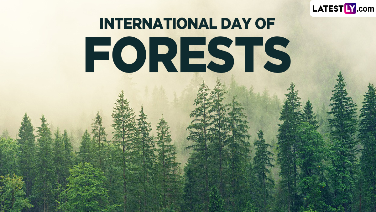 Festivals & Events News Know All About International Day of Forests