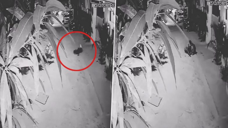 Hyderabad Student Suicide: Teenage Girl Ends Life Due to Fear of Failing Exams in Bachupally, Disturbing Video Surfaces