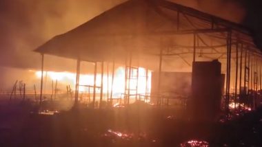 Bijapur Fire: Four-Year-Old Girl Killed After Blaze Erupts at Residential School in Chhattisgarh (Watch Video)