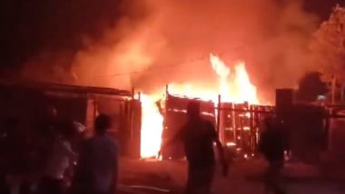 Indore Fire: Massive Blaze Engulfs Ink Factory in Madhya Pradesh, No Casualties Reported (Watch Video)