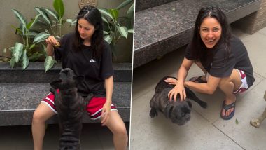Shehnaaz Gill Cheers Herself on Her Failed Attempt To Overcome Fear of Dogs, Recreates Her Iconic Dialogue ‘Tuhada Kutta Tommy’ (Watch Video)