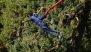 South Korea: 60-Year-Old Woman Suffers Cardiac Arrest After Bungee Jump Inside Starfield Anseong Mall in Gyeonggi Province