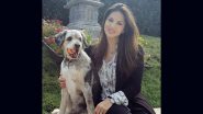Sunny Leone Gets Emotional As She Mourns the Demise of Her Pet Dog, Says ‘Love You Lilu’ (View Pic)