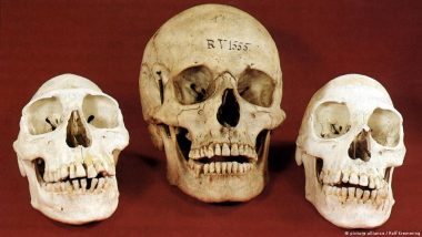 How Germany is Handling Human Remains in Museum Collections