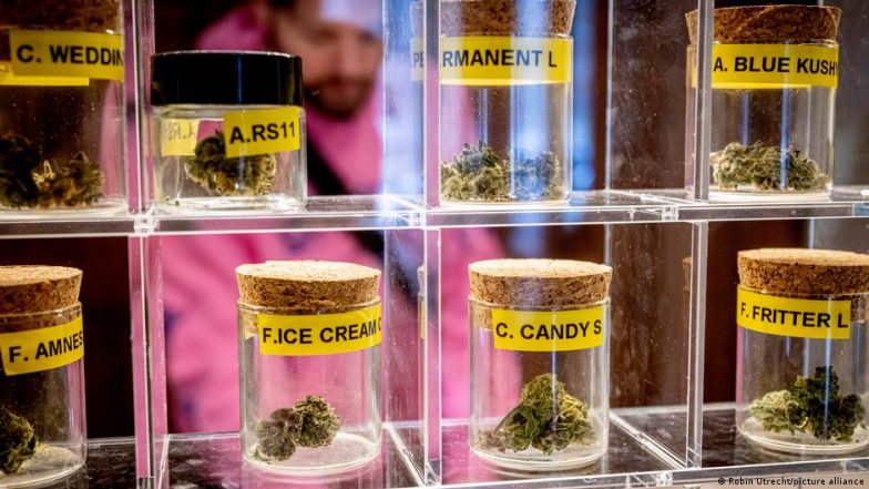 Cannabis: German Growers Celebrate as Hemp is Legalized