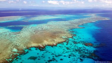 Great Barrier Reef Suffers 'mass Bleaching Event'