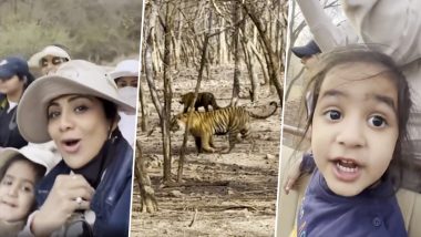 Shilpa Shetty Spots Tigers During Safari Trip With Family to Ranthambore; Shares Adventure Highlights on X (Watch Video)