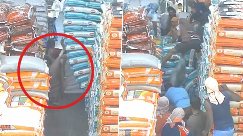 Navi Mumbai: Woman Gets Trapped After Grain Sacks Fall on Her During Cleaning at APMC Market in Vashi, Other Workers Quickly Come to Her Rescue (Watch Video)