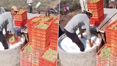 Video Shows Farmers Rinsing Grapes Into 'Pesticides'? Clip of Raisin Making Process Goes Viral With Misleading Claim, Here's Fact Check