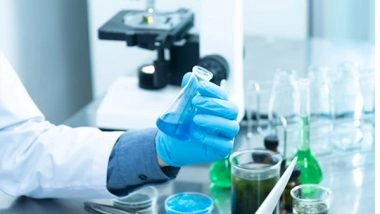 Science News | Simple Trick Can Improve Accuracy of Plant Genetics Research: Study