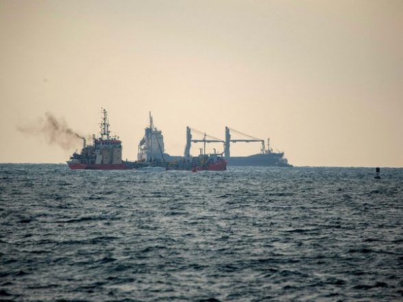 World News | Decoding Dolphins: Researchers Uncover Effects of Ship Noise on Sea Mammal Communication - Vimarsana News