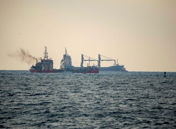 World News | Decoding Dolphins: Researchers Uncover Effects of Ship Noise on Sea Mammal Communication