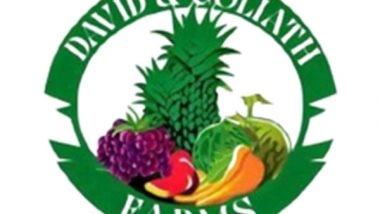 Business News | Harvest for Humanity: David & Goliath Farms Fuels Ramadan Feasts with a Mountain of Veggies