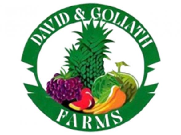 Business News | Harvest for Humanity: David & Goliath Farms Fuels Ramadan Feasts with a Mountain of Veggies - Vimarsana News